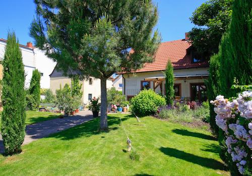 Garten Blick 1