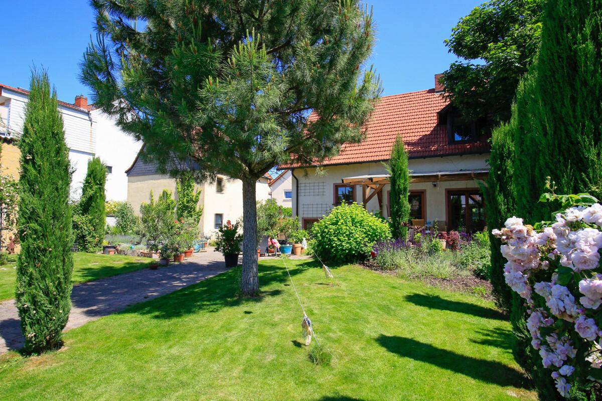 Garten Blick 1
