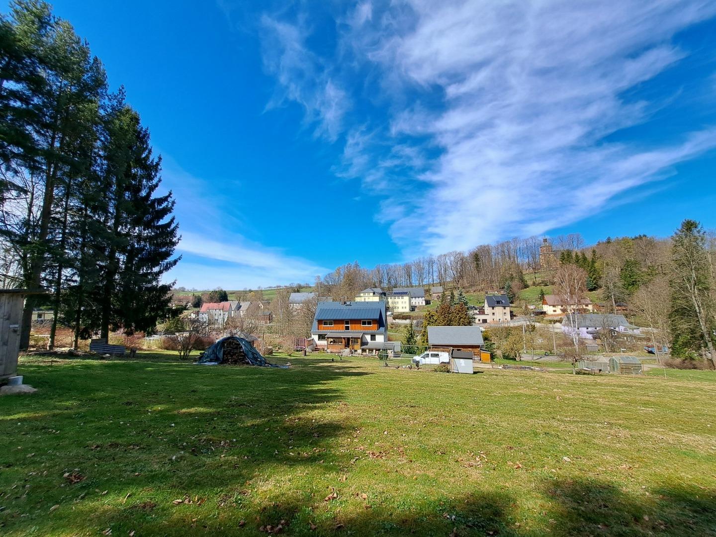 Blick vom Waldrand