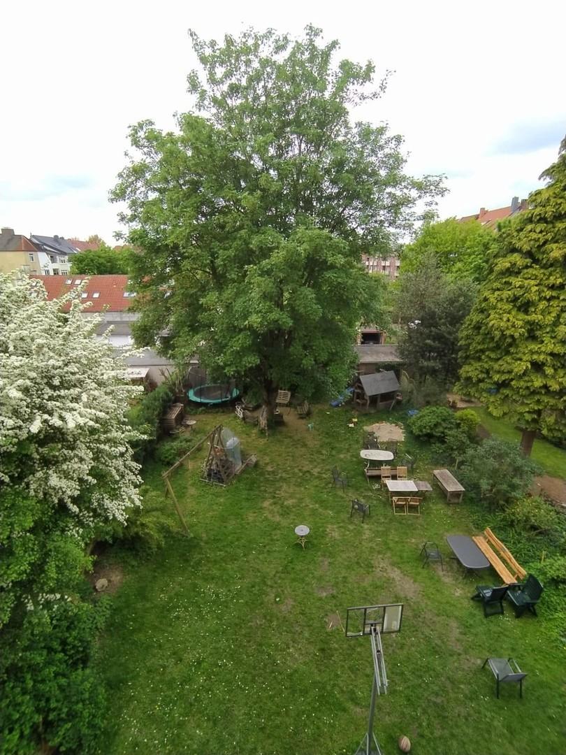 Gemeinschaftsgarten