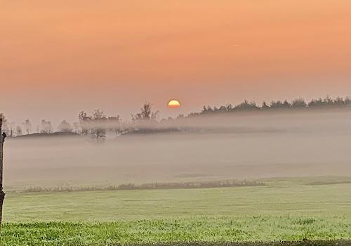 Sonnenaufgang aus dem Garten