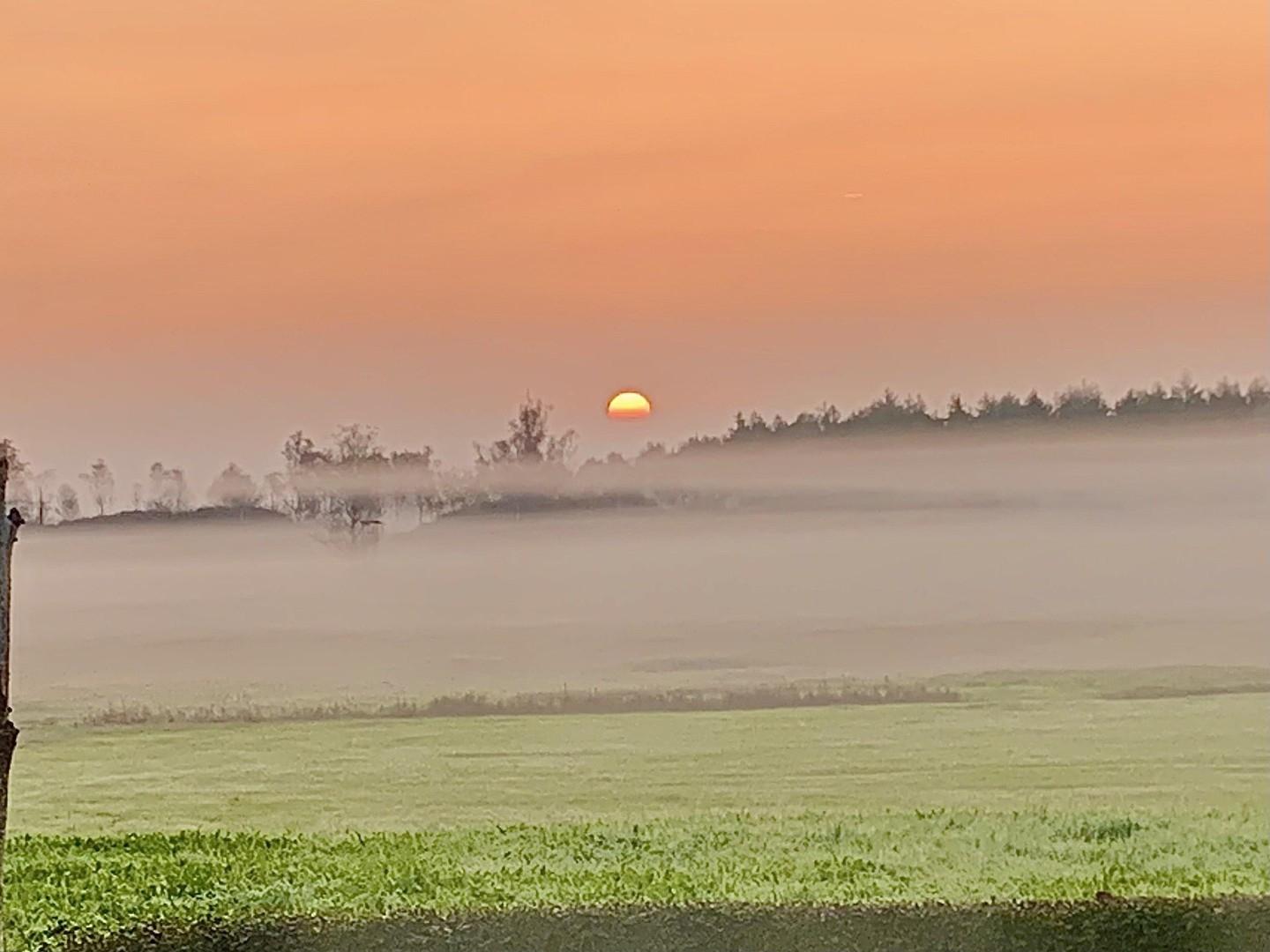 Sonnenaufgang aus dem Garten