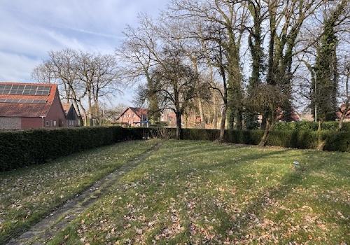 Blick in den Garten