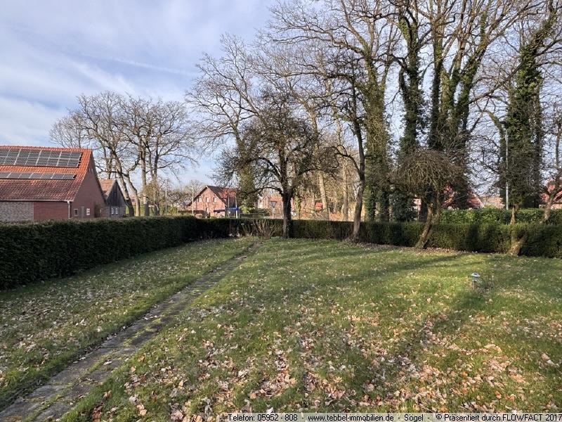 Blick in den Garten