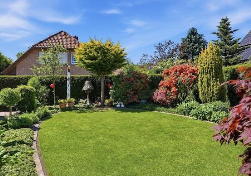 Blick in den Garten