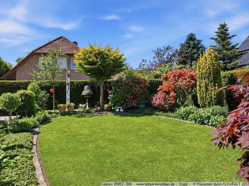 Blick in den Garten