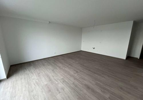 Wohnzimmer / Küche