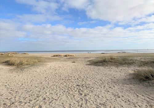 Strand Schillig