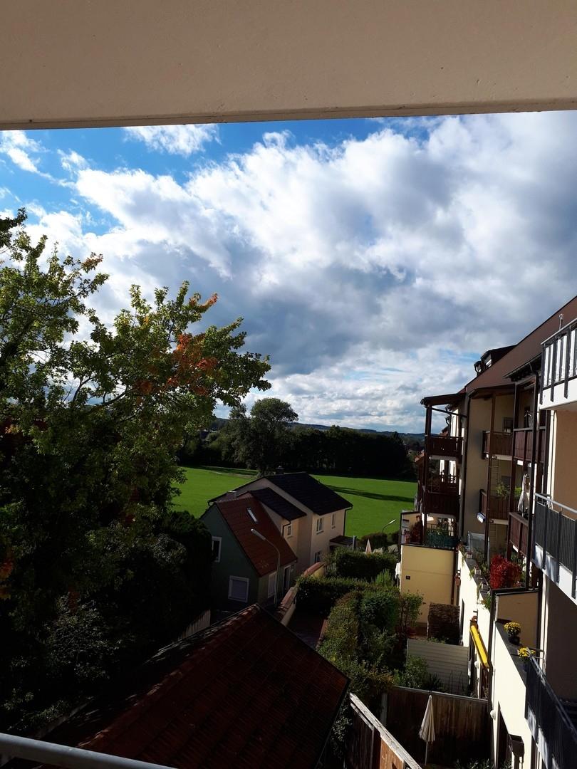 Ausblick ins Grüne