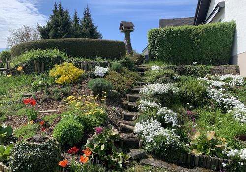 Garten 1