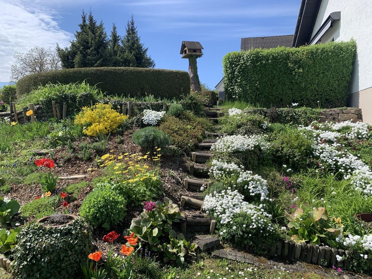 Garten 1