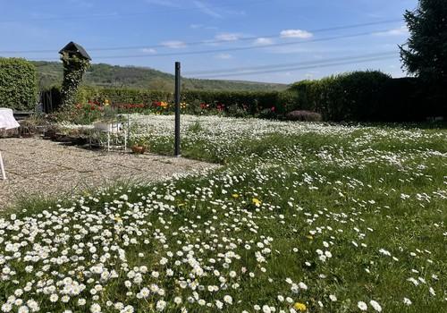 Garten 2