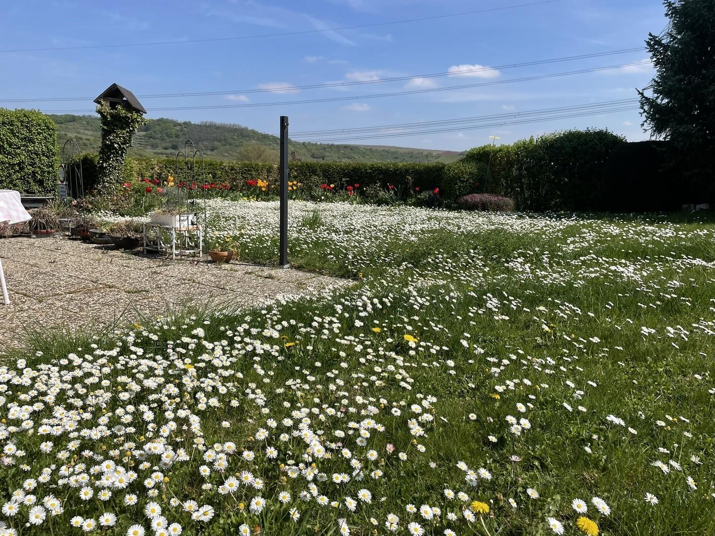 Garten 2