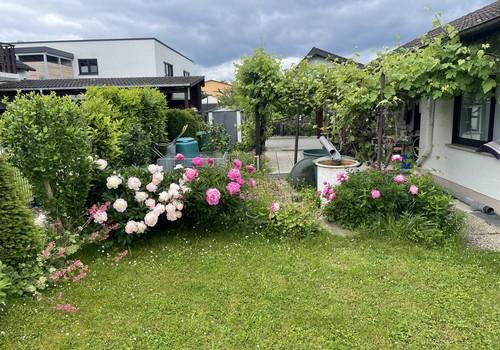 Garten 3