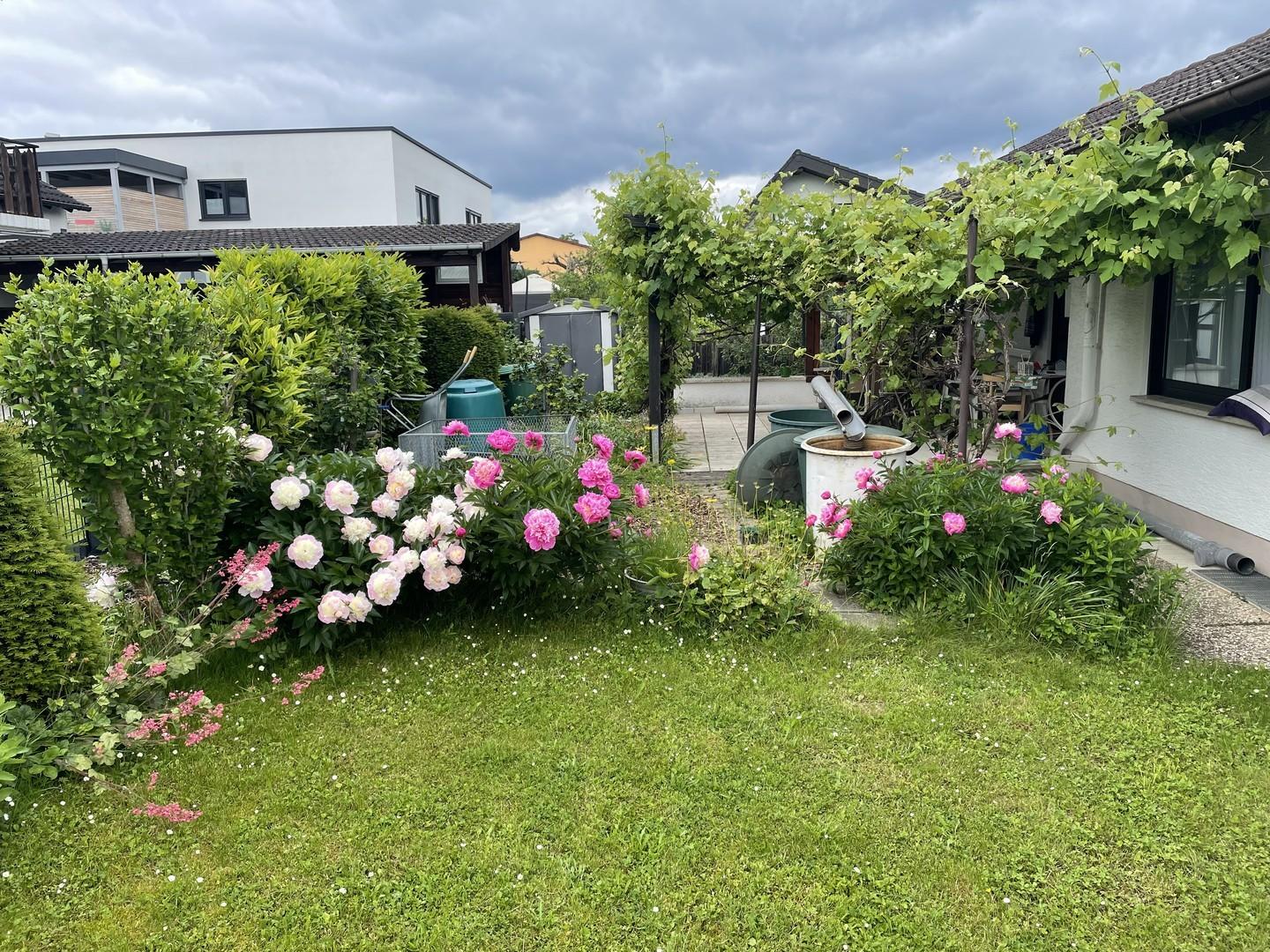 Garten 3