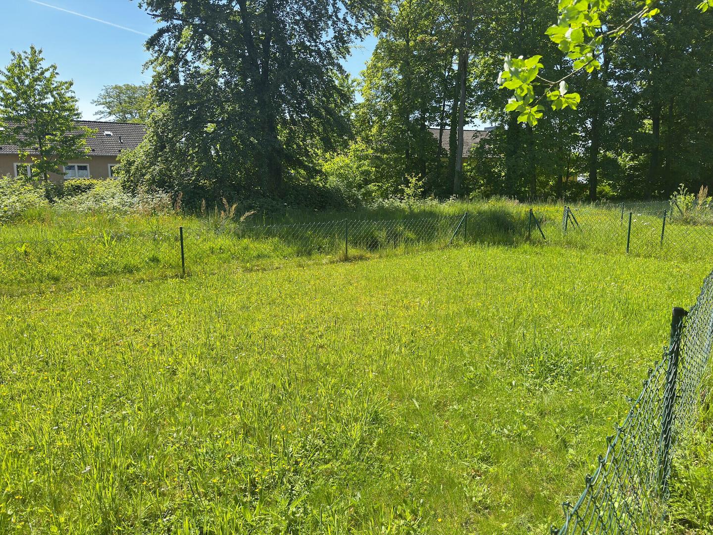 Gartenfläche