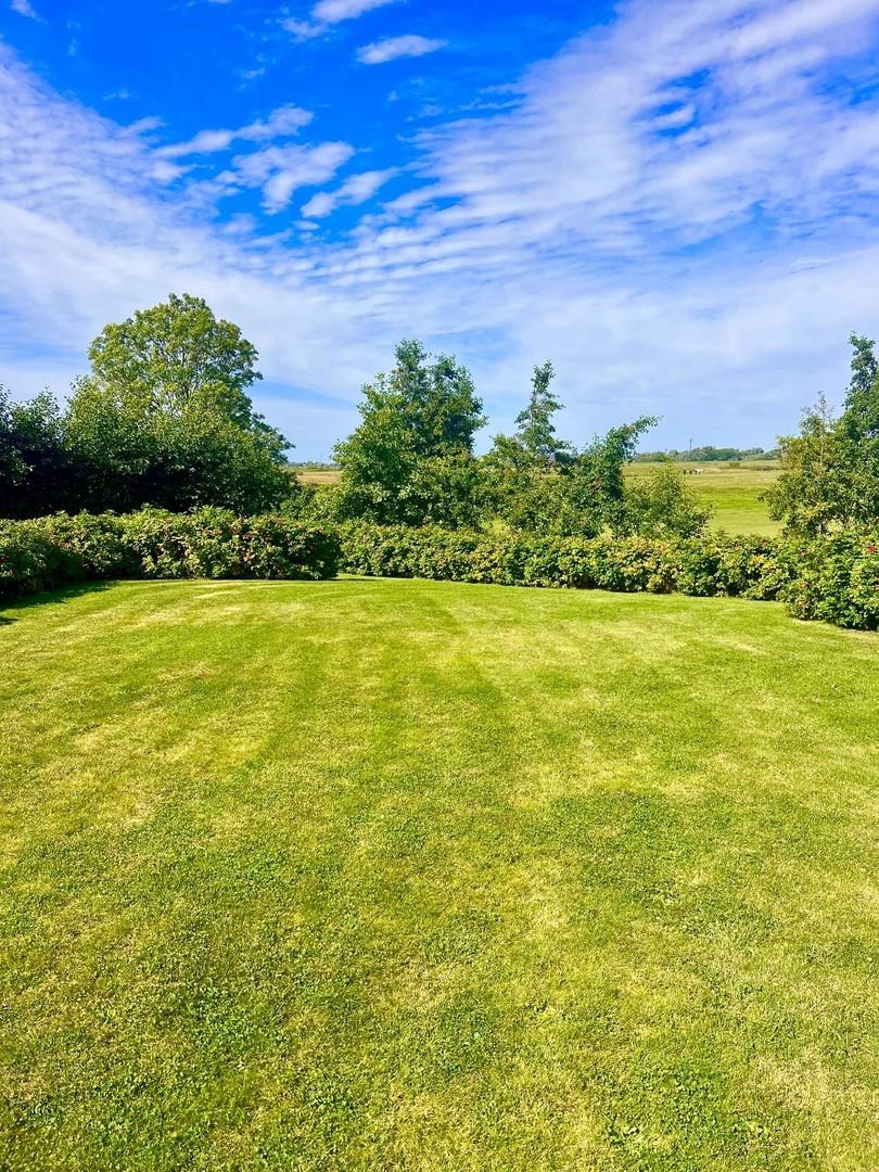 Garten - Weitblick