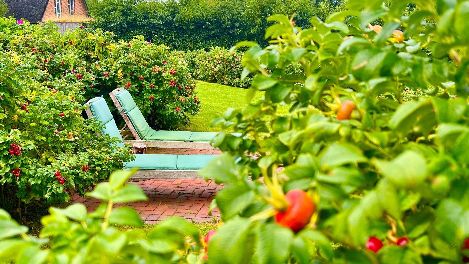 Sonnendeck Garten