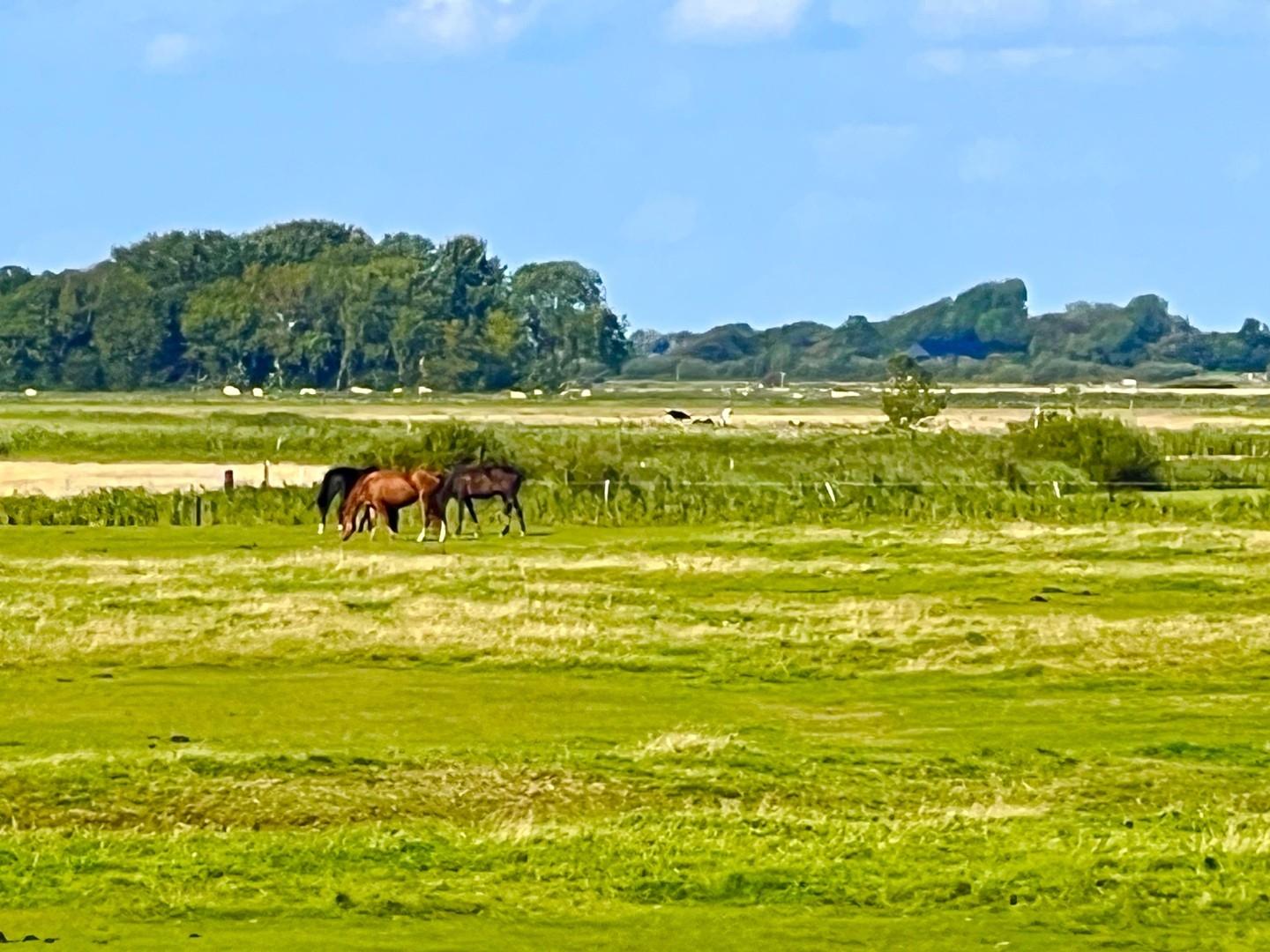 Umfeld - Ausblick
