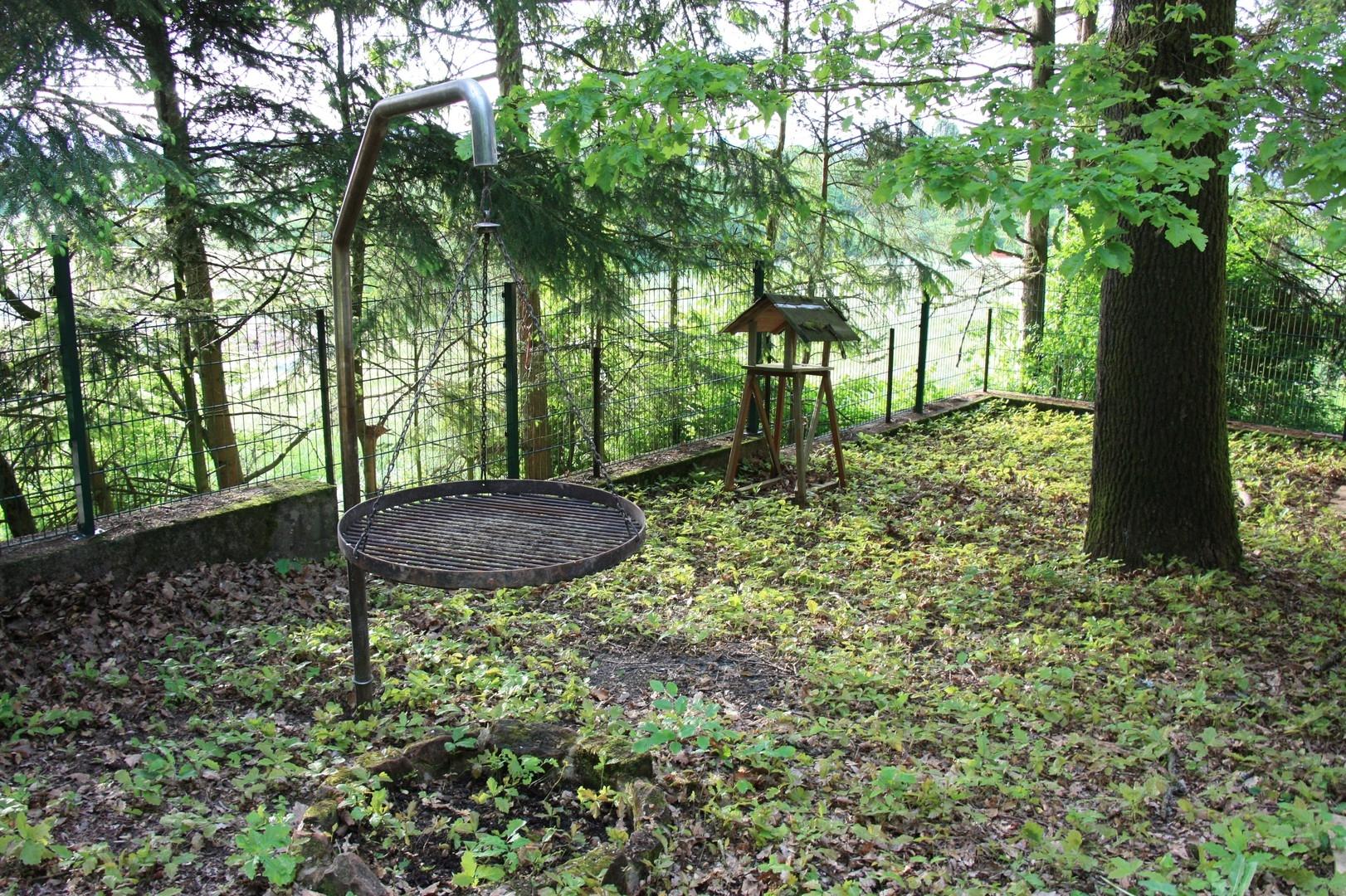Grillplatz neben großer Eiche 
