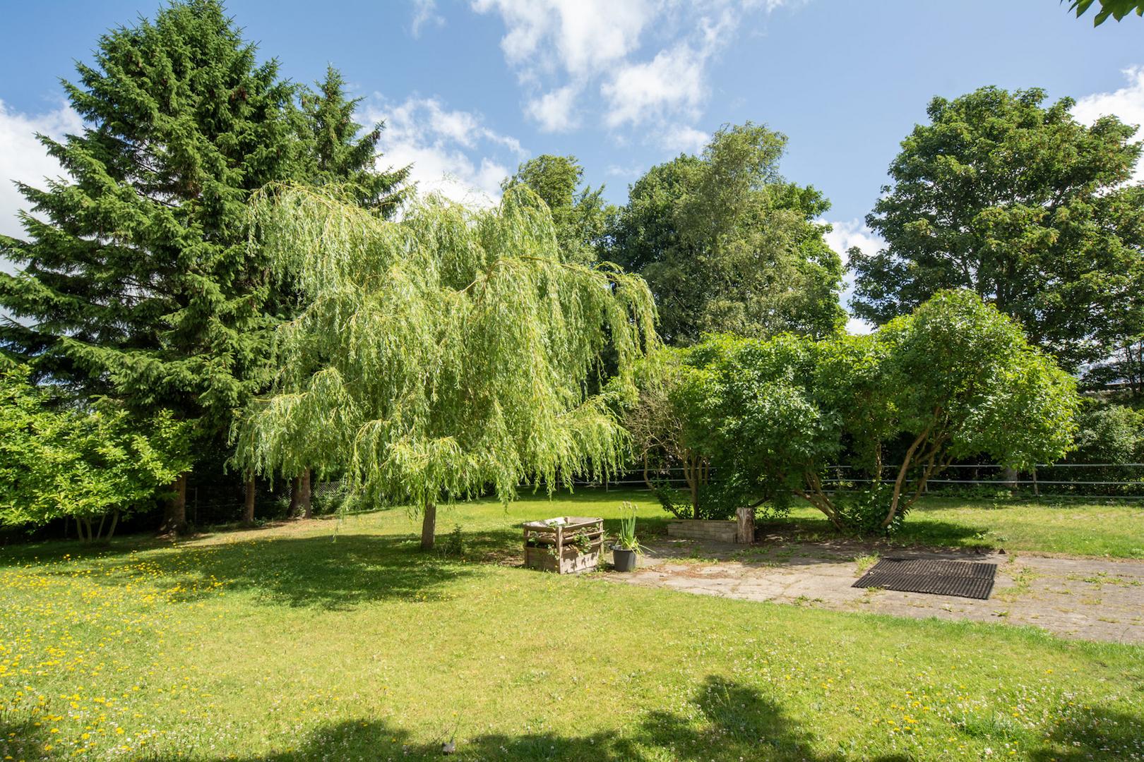 Gepflegte Gartenanlage