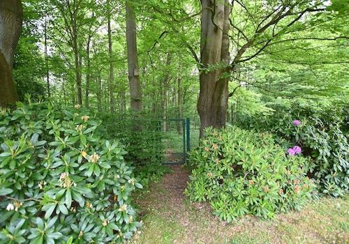 Ihr persönlicher Zugang zum anliegenden Wald