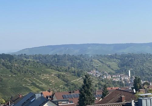 Fernblick