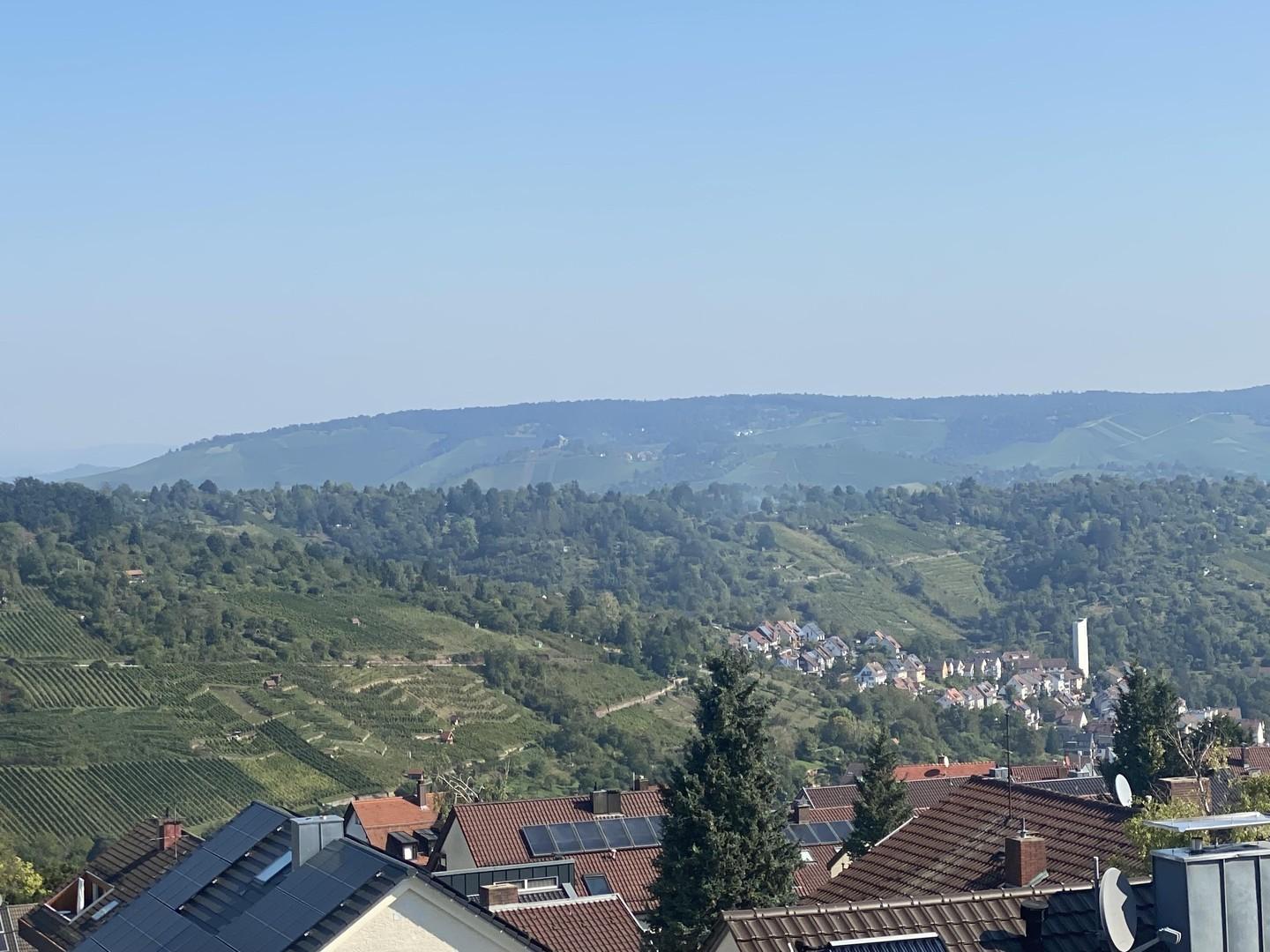 Fernblick