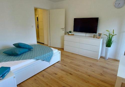 Wohn/Schlafzimmer 2
