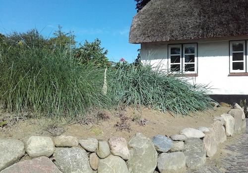 Düne vor dem Haus