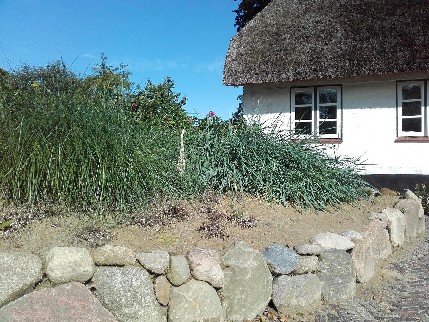 Düne vor dem Haus
