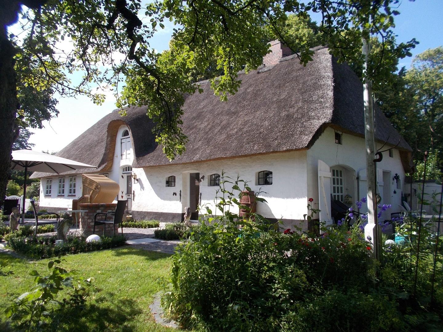 alter Baumbestand
