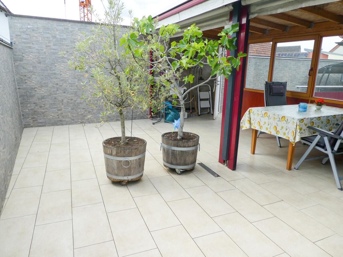 Terrasse 