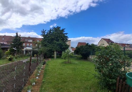 Garten_5