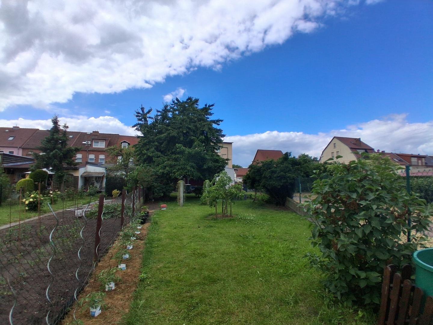 Garten_5