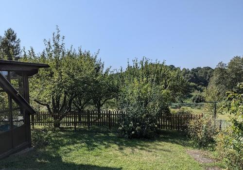 Blick ins Grüne