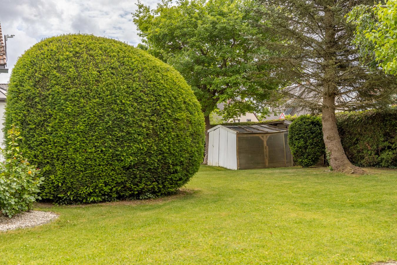 133 m² Wohnfläche · Wintergarten · 797 m² Grundstück