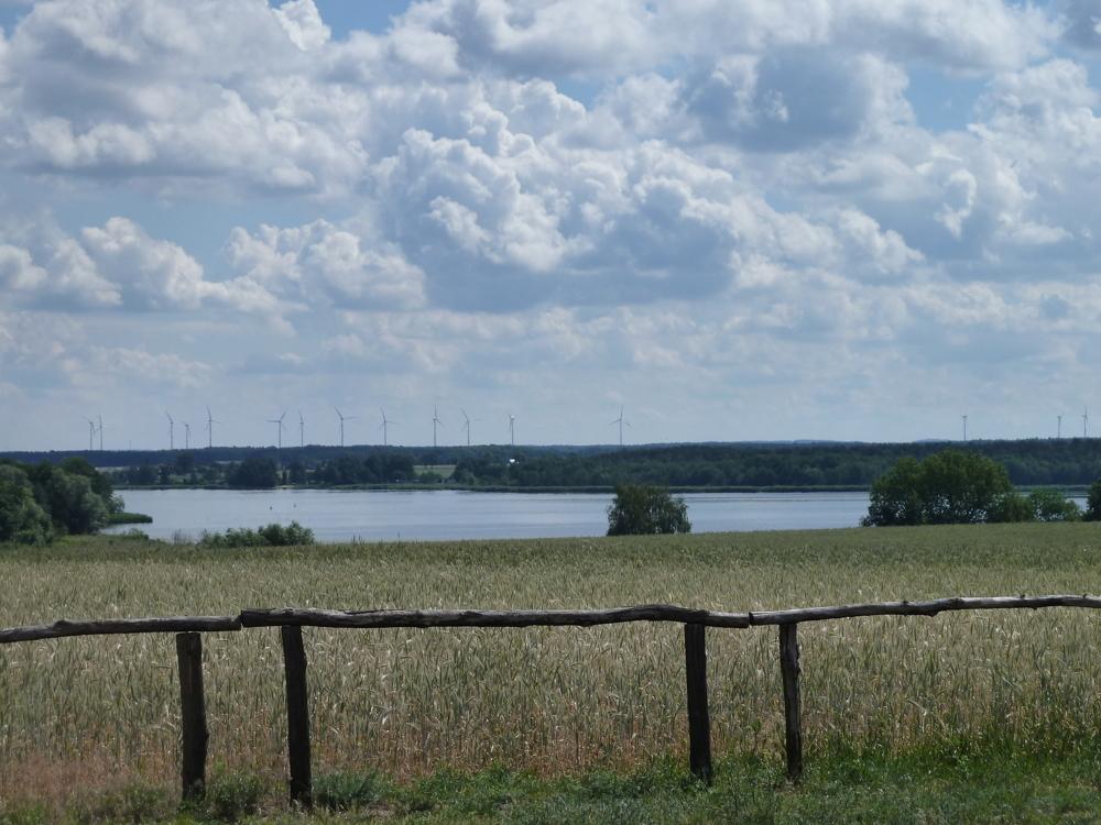 Umgebung Schwielochsee
