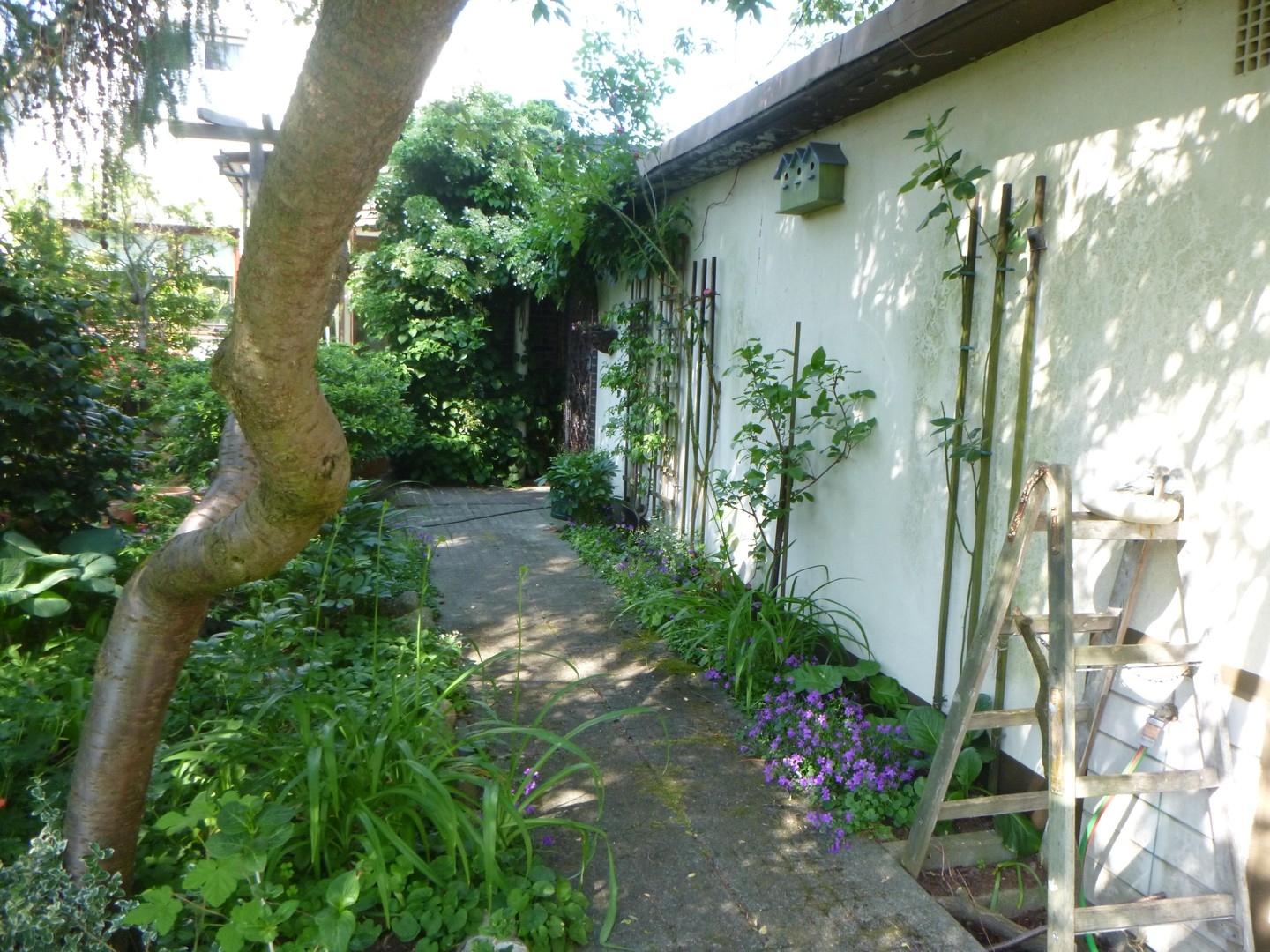 Gartenseite Garage