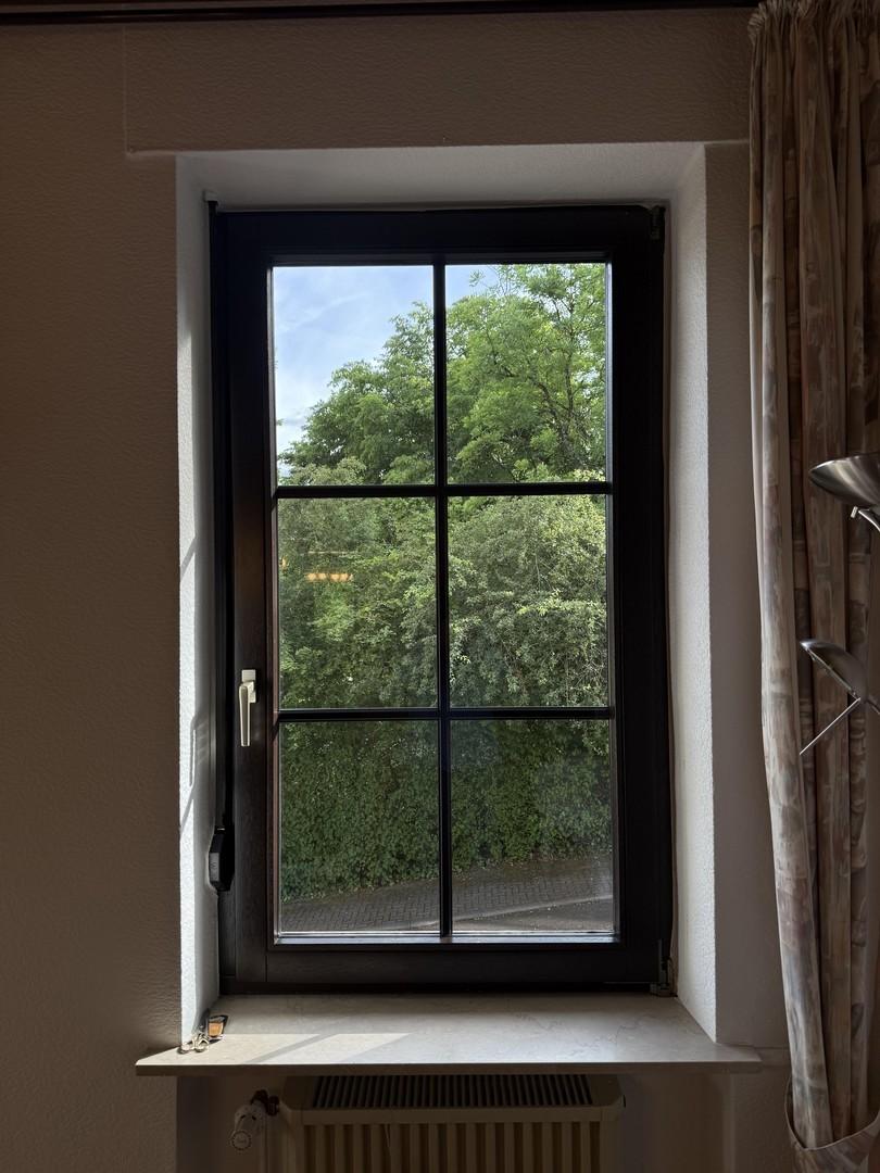 Fensterblick EG