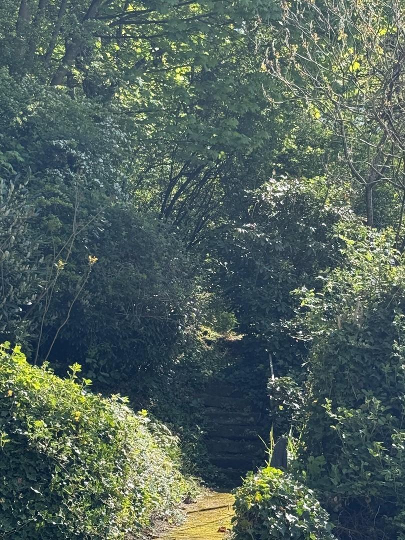 Blick in den Garten