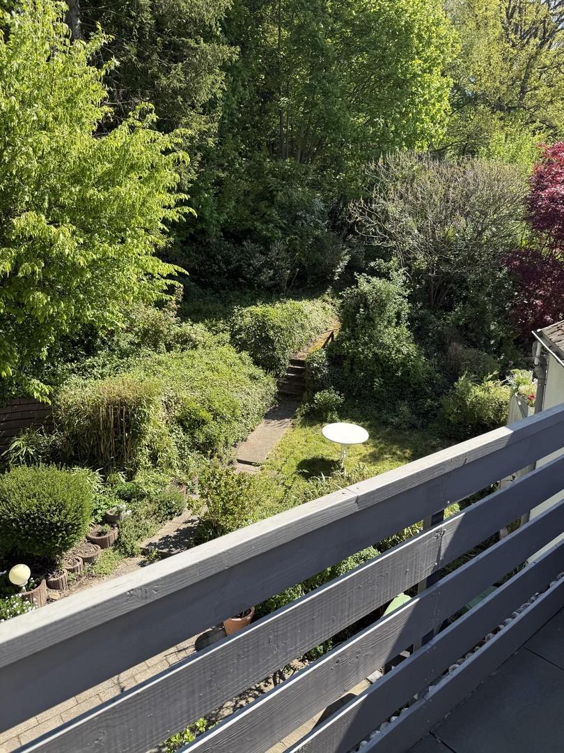 Blick in den Garten 