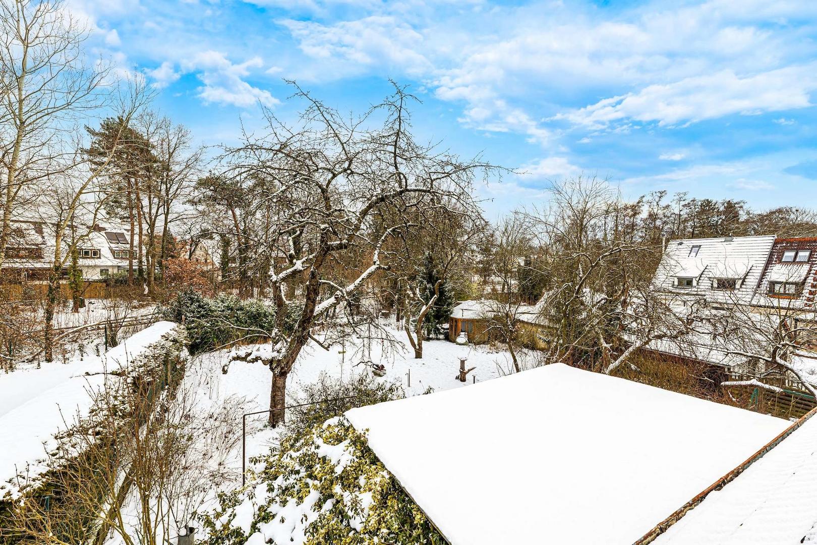 Blick in den Garten