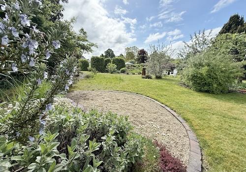 Blick in den Garten