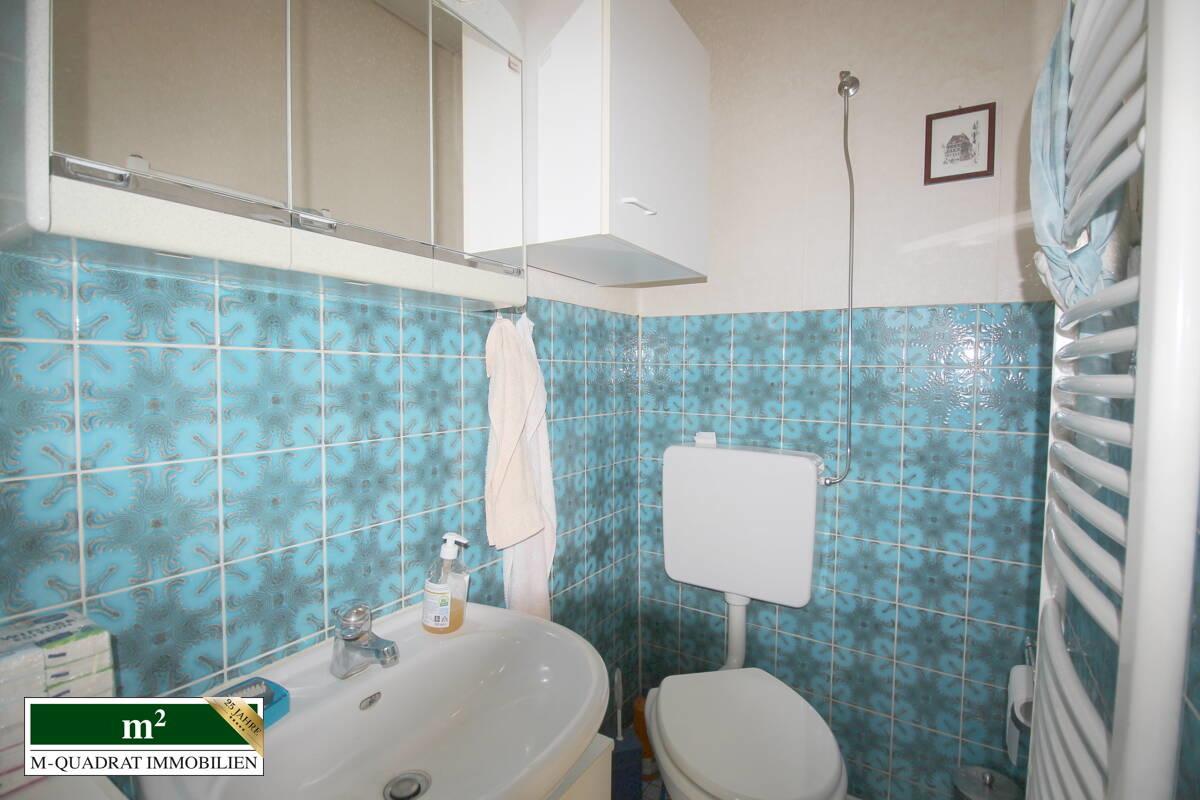 Gäste-WC mit Dusche EG