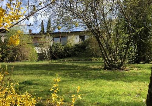 Jahreszeit Frühling/Sommer