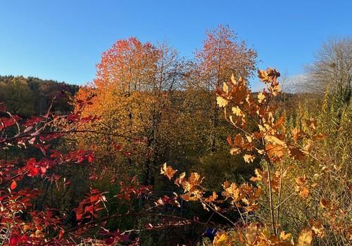 Jahreszeit Herbst