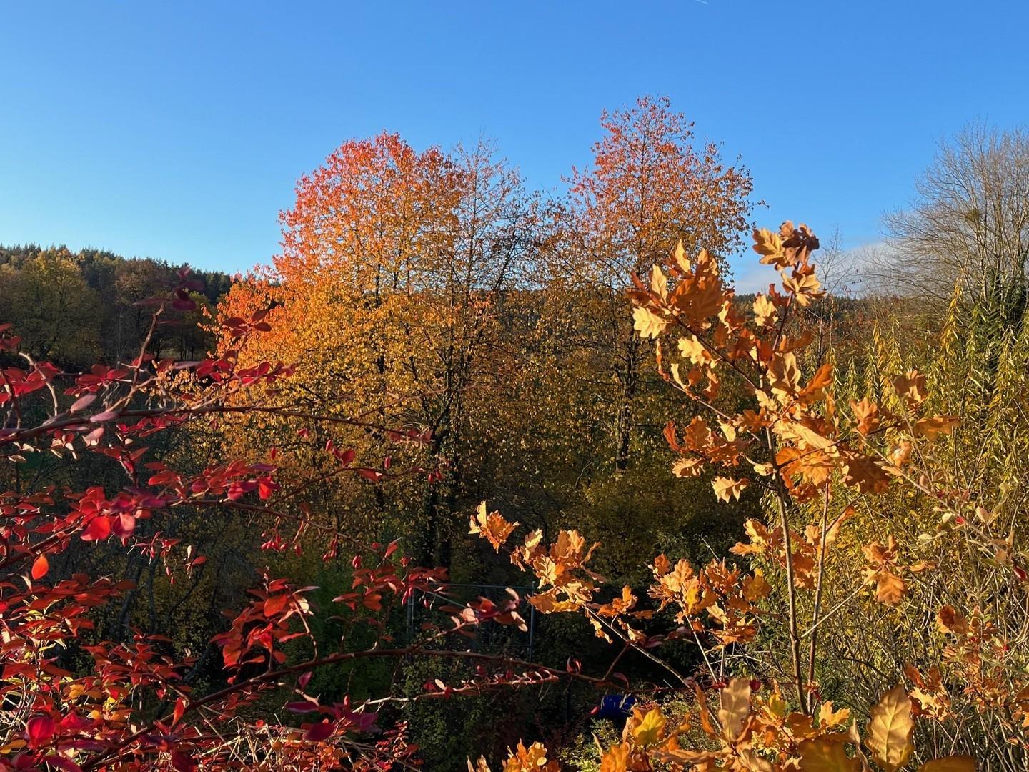 Jahreszeit Herbst