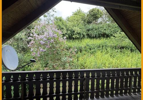 Blick v. Balkon in den Garten
