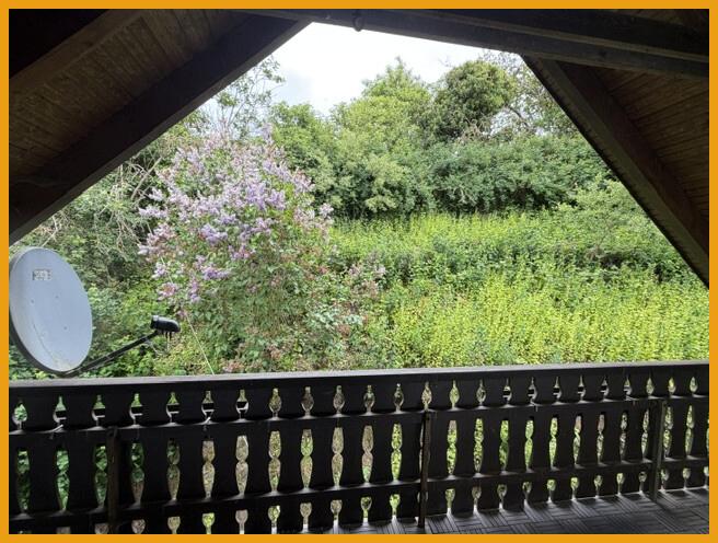 Blick v. Balkon in den Garten
